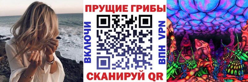 Псилоцибиновые грибы мухоморы  наркота  Тейково 